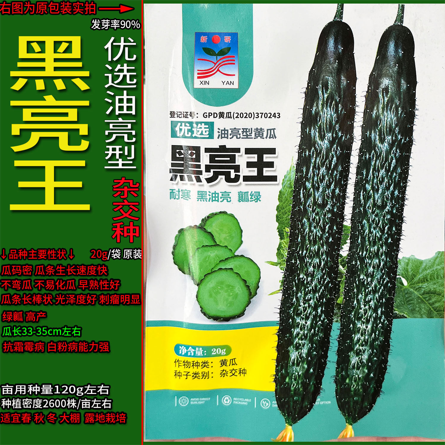 黑亮王优选油亮型青黄瓜蔬菜种子孑籽杂交高产胡瓜刺王勤青唐春秋