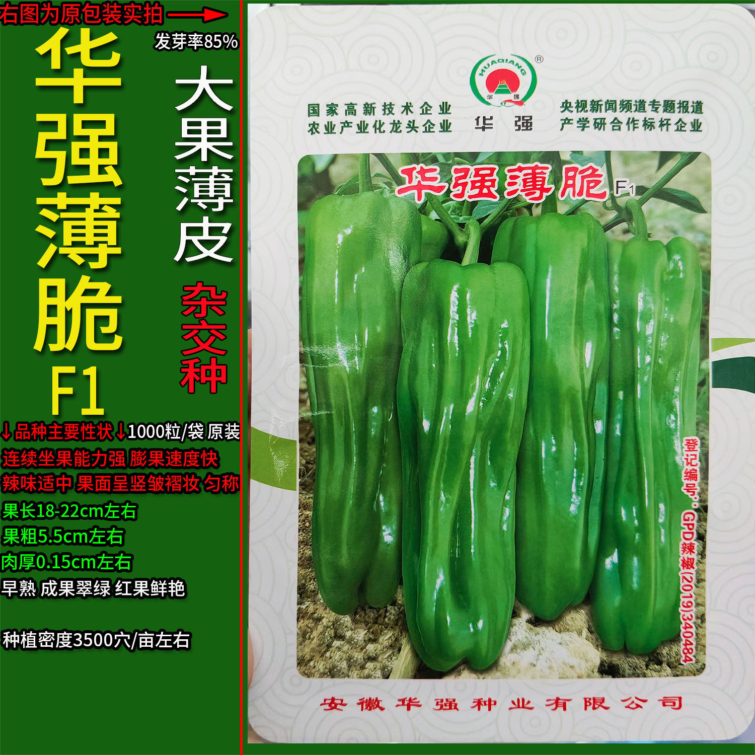 薄脆薄皮椒辣椒高产杂交种子孑籽
