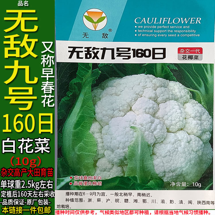 紧白花菜杂交高产甘蓝蔬菜种子
