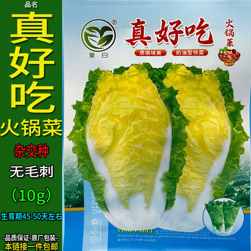 真好吃火锅菜10g蔬菜种子孑籽