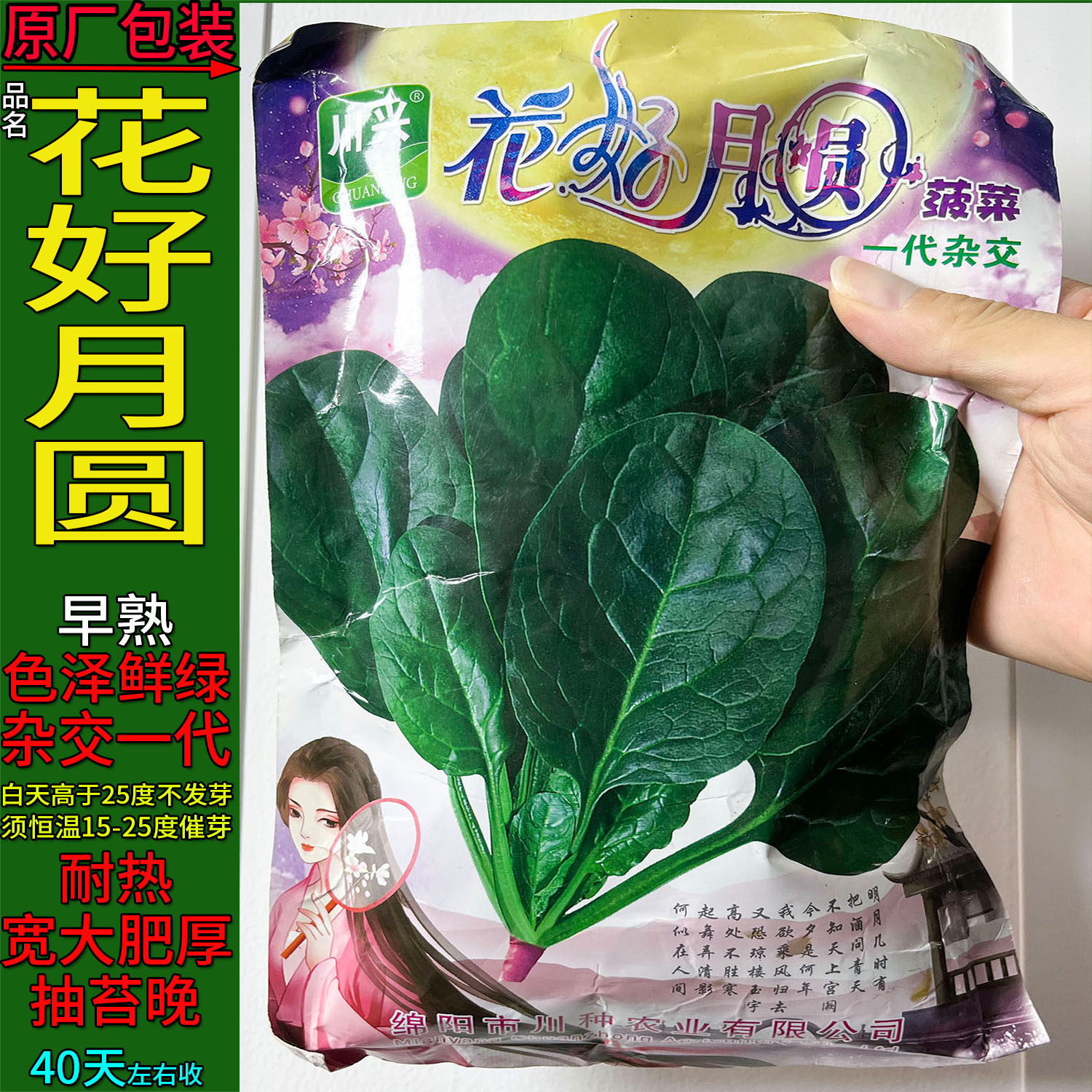 花好月圆250g菠菜蔬菜种子孑籽无刺甜菜连根菜大田用种波斯菠薐菠