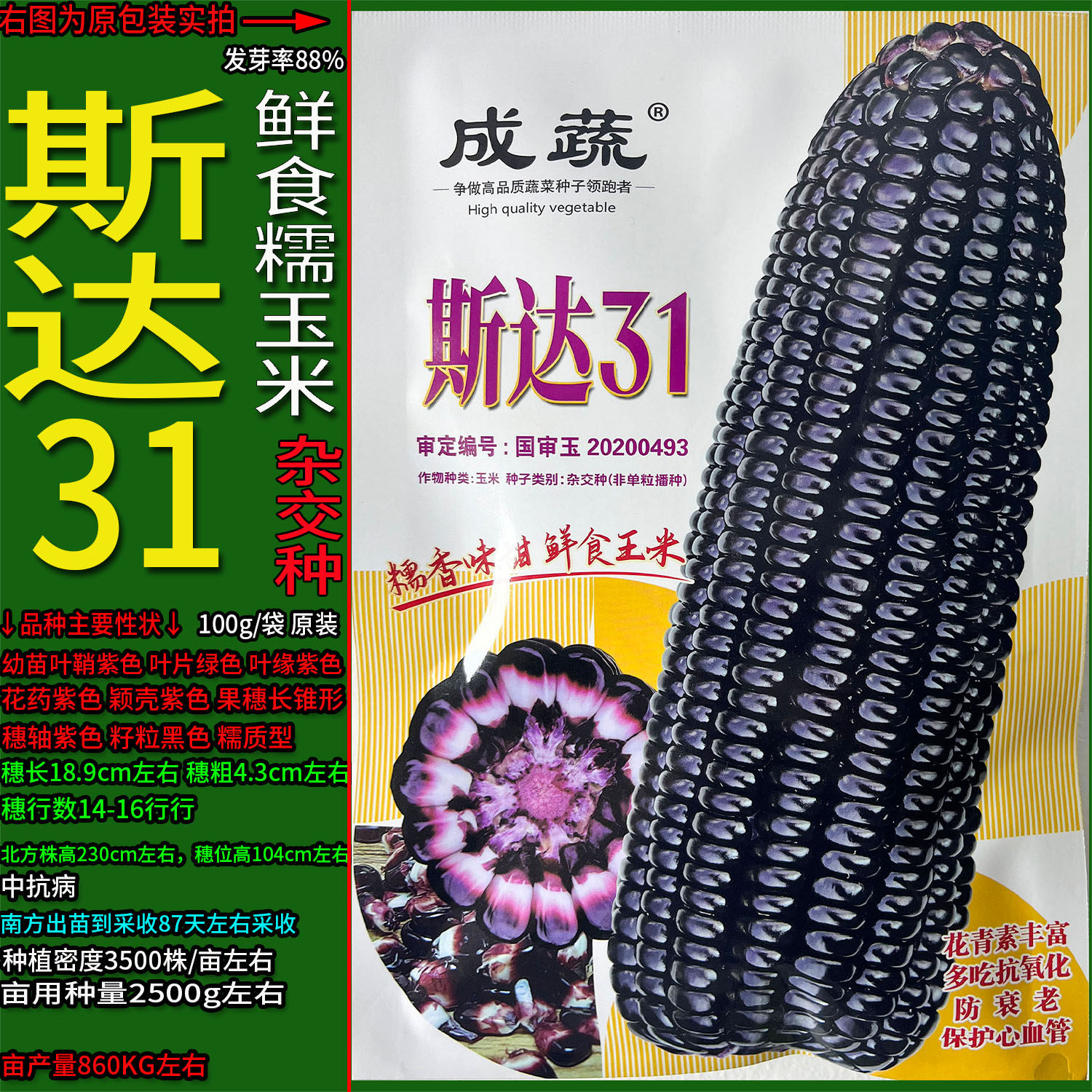 斯达31黑色又甜又糯玉米蔬菜种子