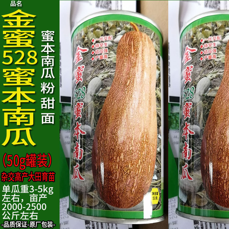 金蜜528-50g南瓜倭瓜番瓜饭瓜种子孑籽高产番北瓜秘蜜本春夏播大