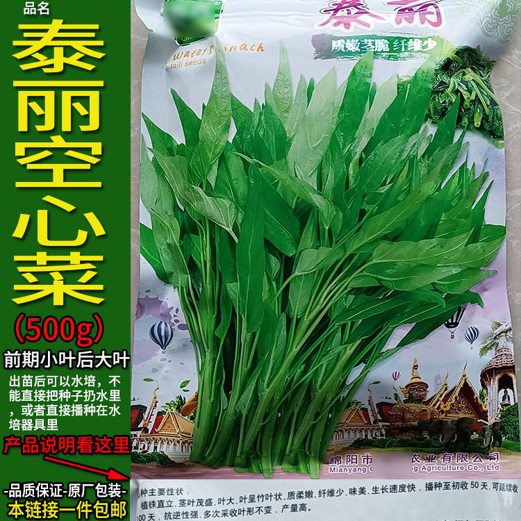 泰丽500g小叶柳叶空心菜水蔬菜种子孑籽别名蕹菜蓊蓊菜四川藤藤菜