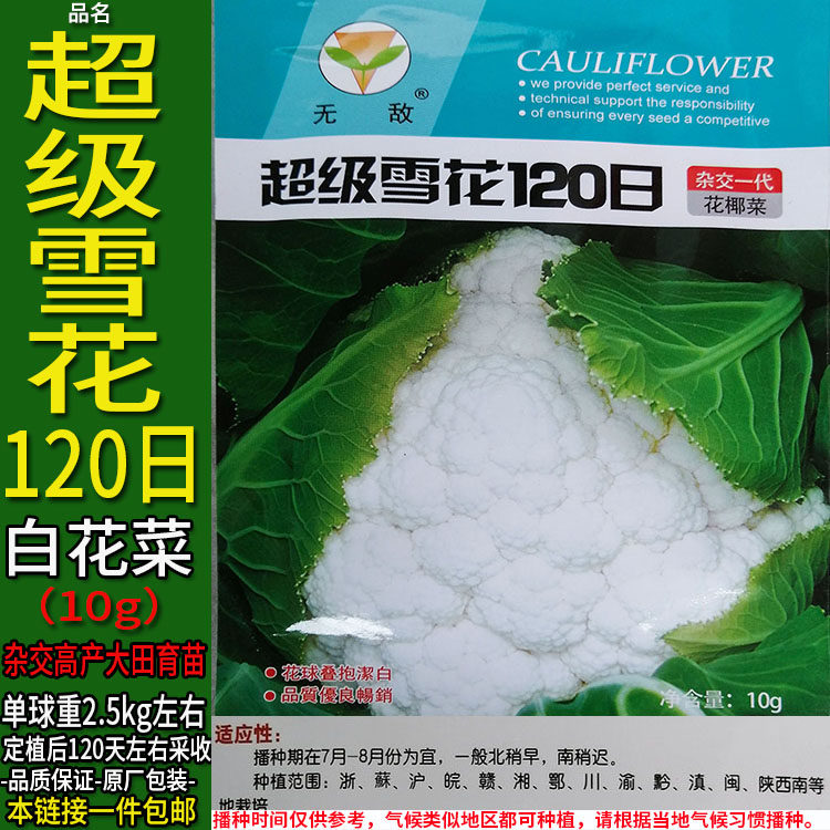 超级雪花120日10g杂交高产紧白花菜种子孑籽蔬菜别名椰花甘蓝大田