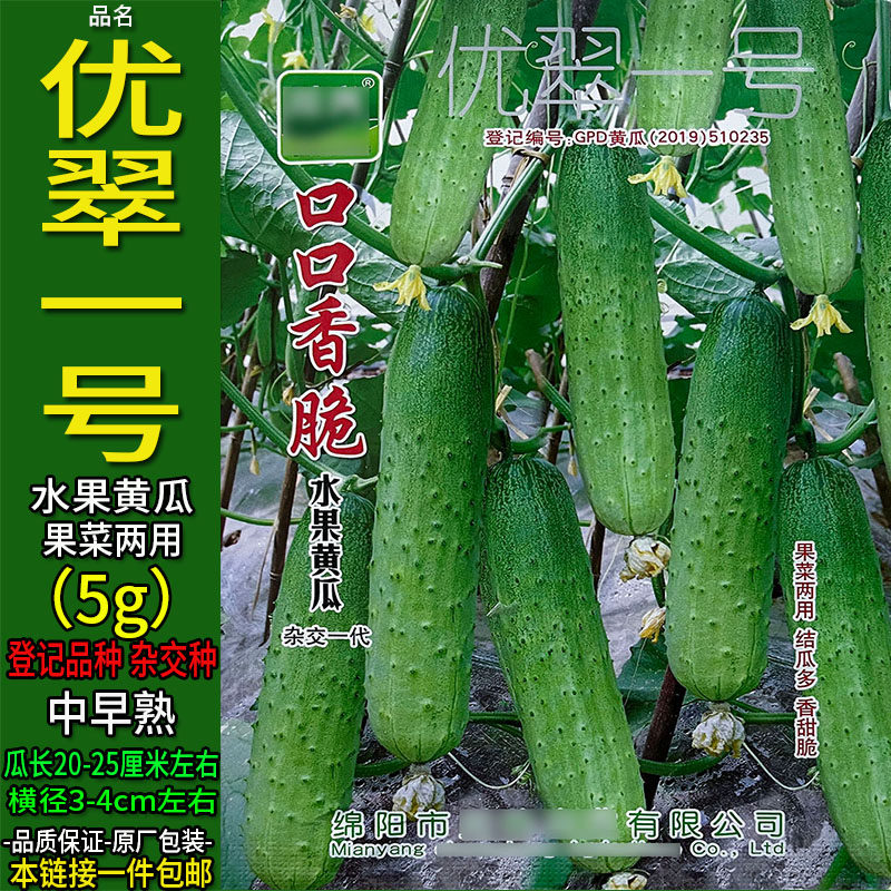 口口香脆水果黄瓜5g【优翠一号】种子孑籽杂交高产香甜脆胡春秋季
