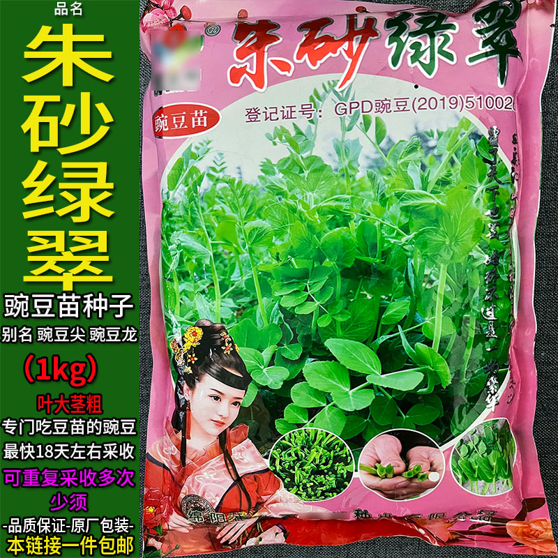 朱砂绿翠1kg豌豆尖蔬菜种子孑