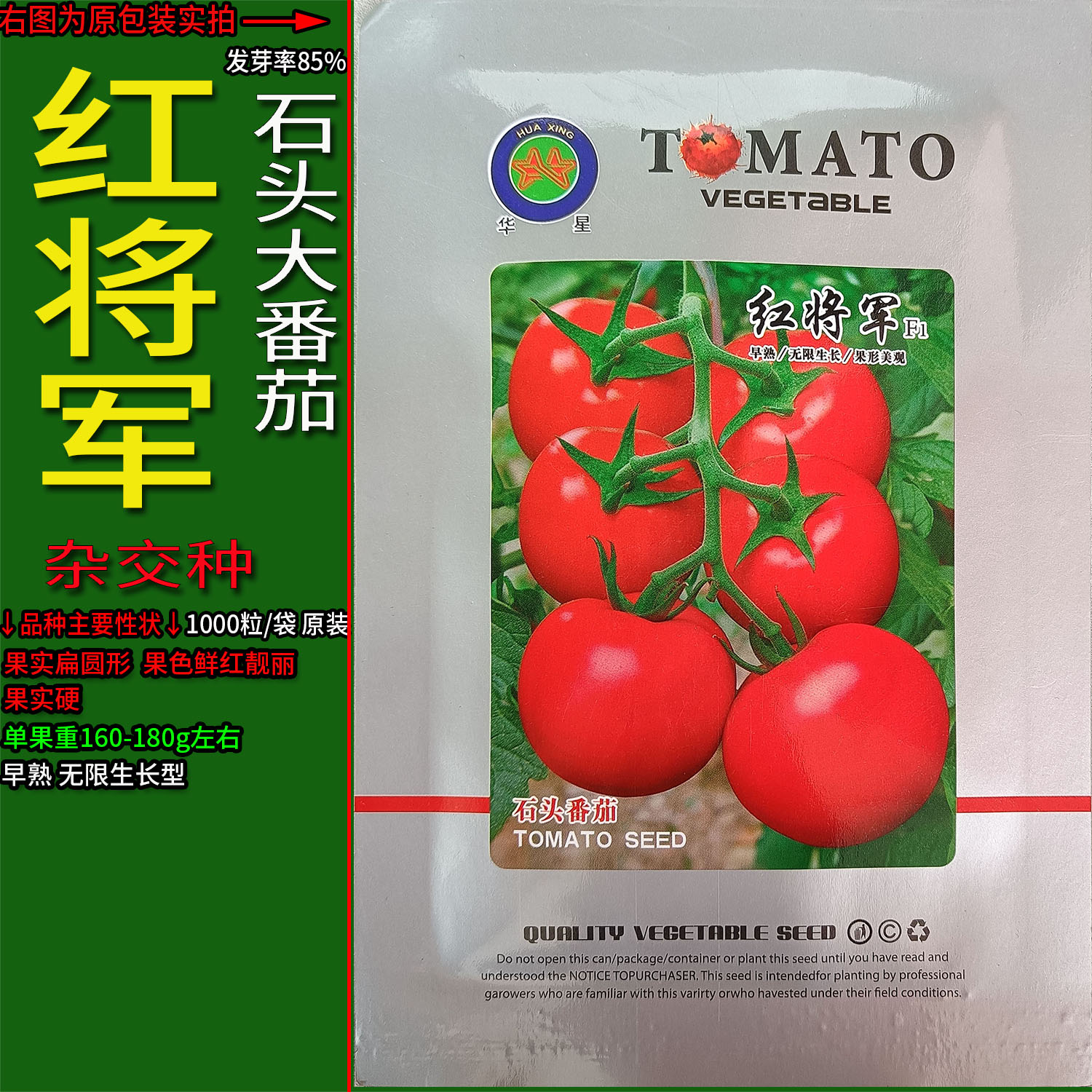 红将军大西红柿石头番茄蔬菜种子