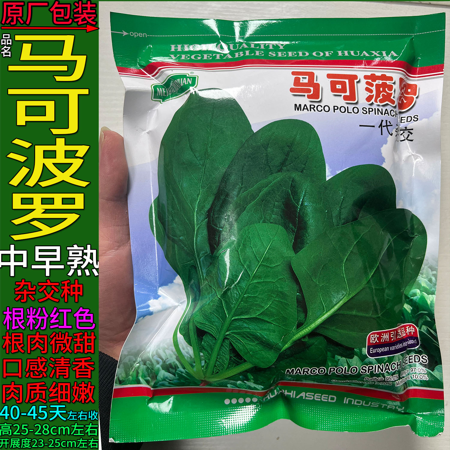 马可波罗蔬菜种子孑无刺甜菜连根