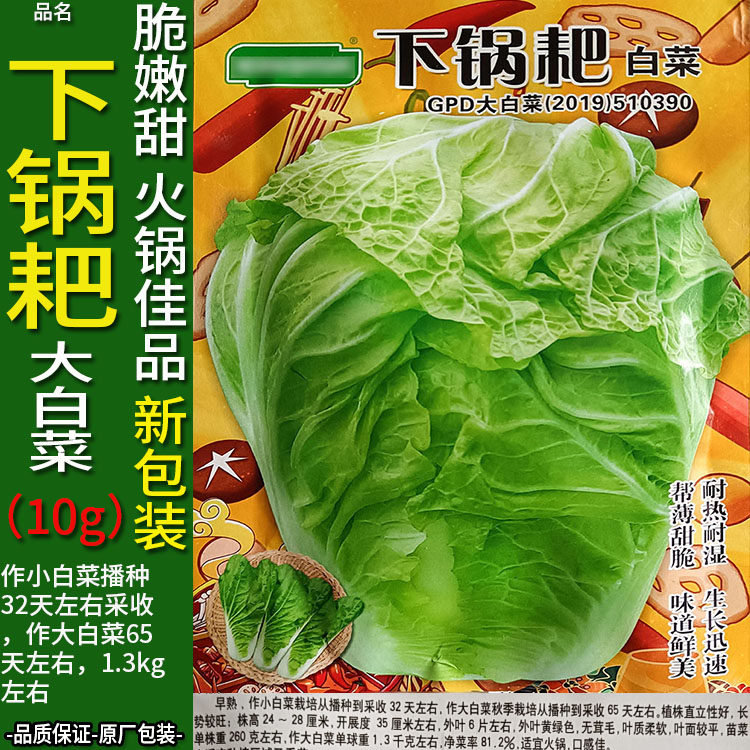 下锅耙10g四季蔬菜种子孑籽结球包心脆甜嫩火锅大白菜白梗菜白菜