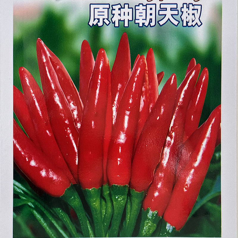 原种朝天椒5g小米椒辣椒红蔬菜种子孑籽特辣超辣下饭春夏秋播青红