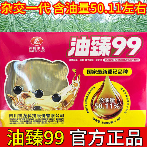 2026油臻99榨油菜新种籽杂交高产