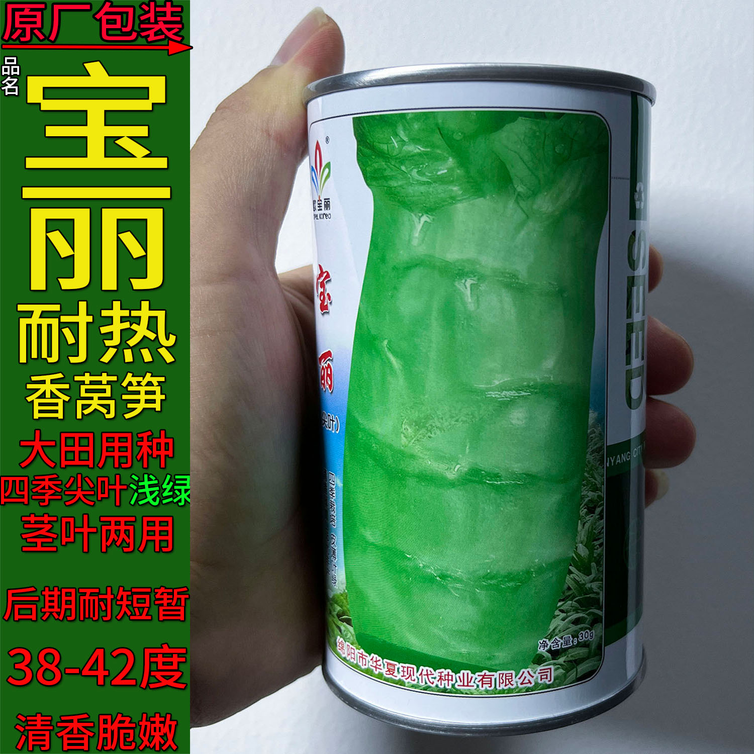耐热莴笋种子孑籽杂交高产大尖叶