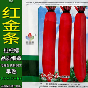 红金条20g早中熟红皮红心萝卜种子孑籽别名莱菔脆甜高产抗病大