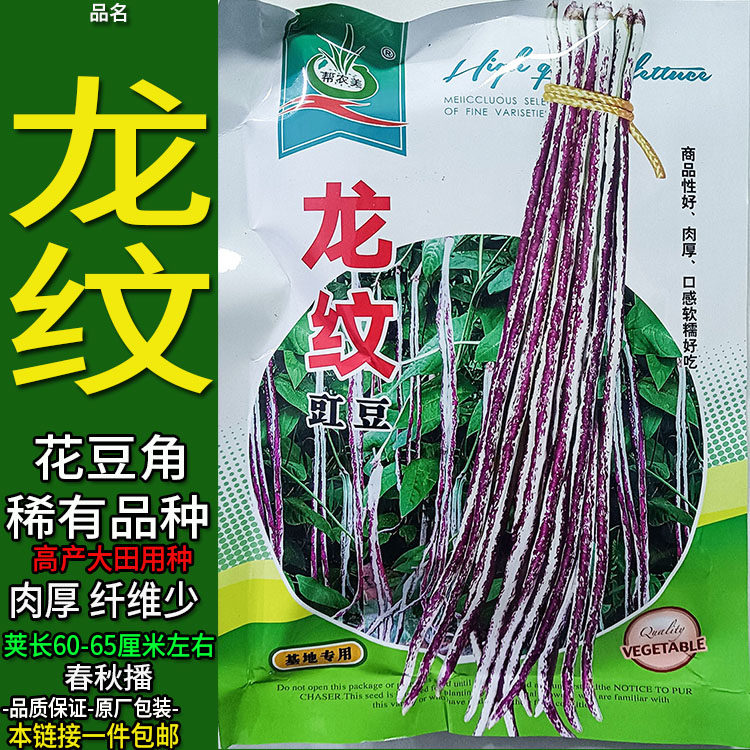 龙纹豇豆花色豆角豇大田高产种子