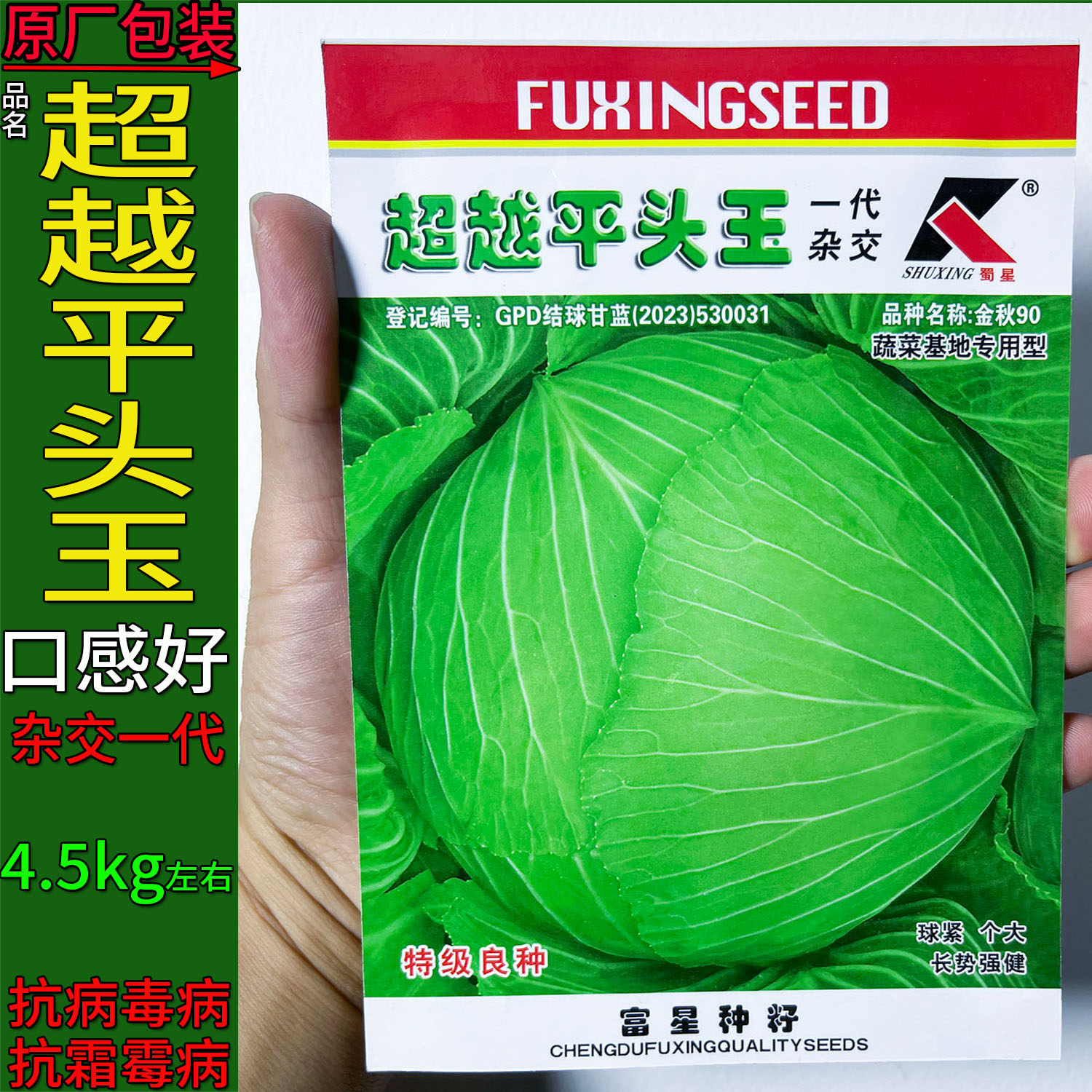 超越平头玉甘蓝莲花白种子杂交