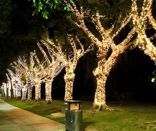 户外装饰灯串太阳能灯串庭院装饰浪漫灯串挂树上装饰灯节日氛围灯