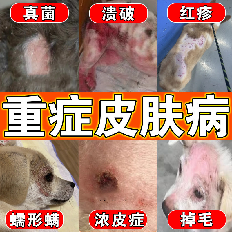 狗藓皮肤病专用真菌感染宠物身上长癣脱毛皮炎红疹肿止痒喷雾剂
