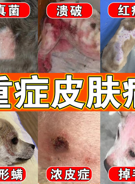 狗藓皮肤病专用真菌感染宠物身上长藓脱毛皮红疹肿止痒喷雾剂