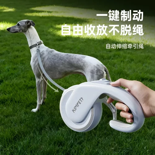 狗狗牵引绳5m自动伸缩猫咪牵引宠物绳带狗绳狗链子狗绳子跨境
