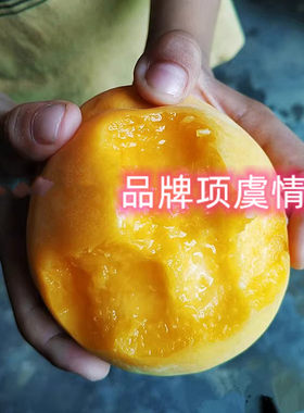 嫁接晚熟大果黄桃树苗脆甜离核10月冬桃丑姑娘黄桃苗南方北方种植