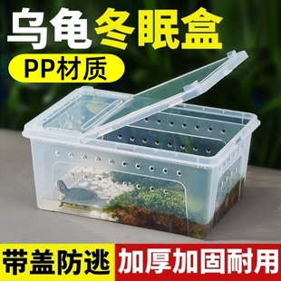 乌龟冬眠箱爬宠蛇蜘蛛专用保温箱蜥蜴寄居蟹昆虫盒子龟缸过冬装备