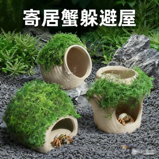 寄居蟹躲避屋饲养箱天然洞穴窝造景生态缸乌龟专用装饰小摆件用品