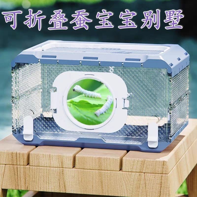 蚕宝宝的豪华别墅养蚕宝宝的盒子饲养箱蚕宝宝的窝学生养蚕小房子