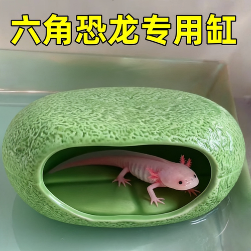 六角恐龙躲避屋蝾螈躲藏睡窝小宠乌龟鱼缸造景装饰用品陶瓷躲避屋