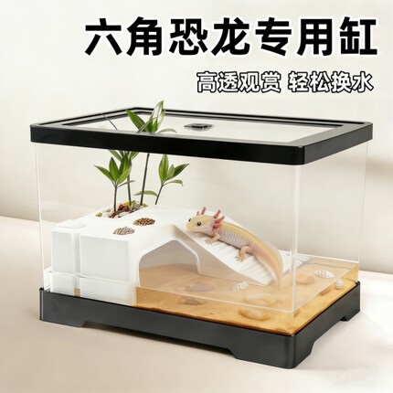 六角恐龙专用缸造景乌龟缸小型观赏鱼躲避屋娃娃鱼饲养缸蝾螈鱼缸