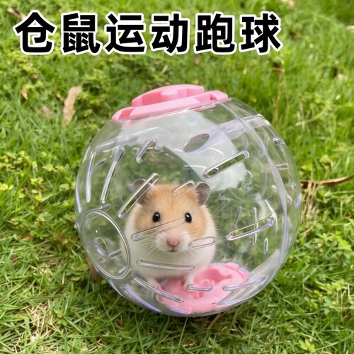 仓鼠透明静音不卡脚跑步球