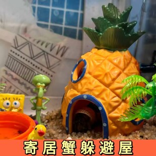 寄居蟹躲避屋饲养陆生宠物蟹专用窝房子洞穴装饰生态攀爬造景摆件