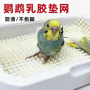 鹦鹉垫网幼鸟站网通用可裁剪养殖雏鸟专用不伤脚防滑垫超软乳胶垫