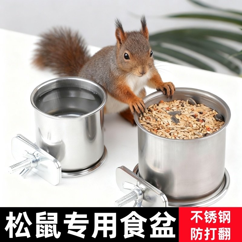 松鼠食盆不锈钢防打翻花枝鼠荷兰猪兔防啃咬食盒龙猫饮水器喂食碗,宠物/宠物食品及用品,鼠类喂食器,淘宝优惠券,粉丝福利购,淘宝优惠卷