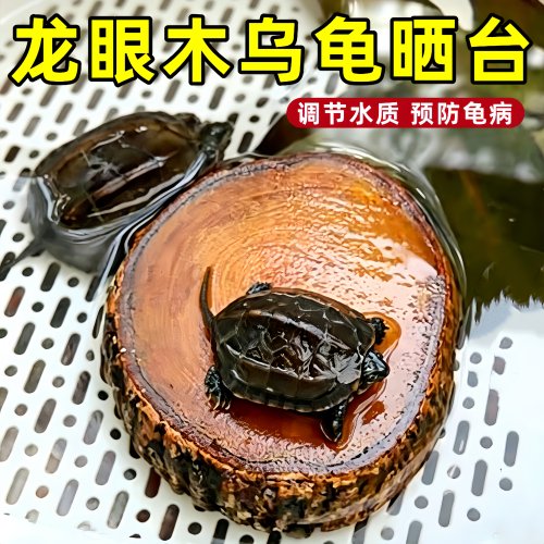 龙眼木乌龟晒台天然躲避垫脚歇脚休息晒背台龟缸造景养龟专用爬台