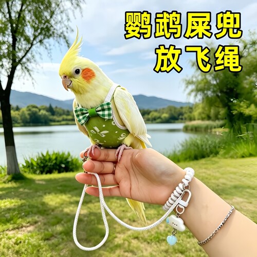 遛鸟绳小太阳专用外出神器玄凤虎皮牡丹屎兜放飞飞行服鹦鹉牵引绳
