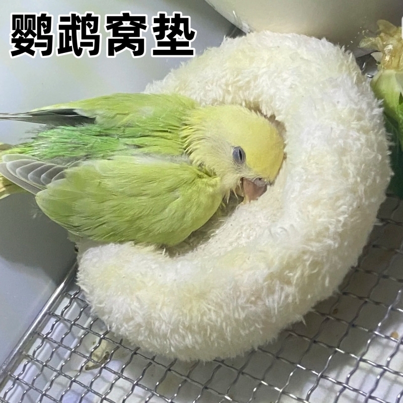 鹦鹉窝垫小宠专用睡觉垫子冬季鸟窝棉垫珍珠鸟金丝熊兔仓鼠小棉窝