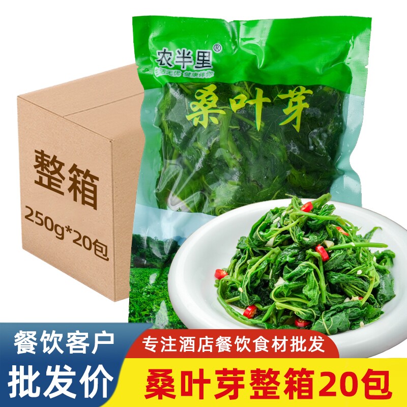 桑叶新鲜桑叶苗20袋桑叶芽上汤桑叶菜新鲜食用嫩桑叶尖冷冻半成品