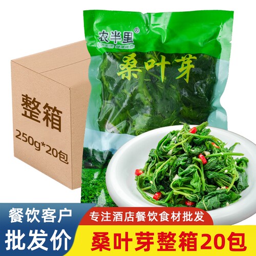 新鲜桑叶上汤桑叶芽半成品食材