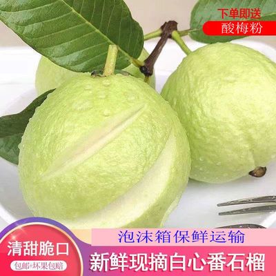 新鲜采摘广西白心芭乐番石榴脆甜绿色低糖鲜果农产品3斤5斤包邮