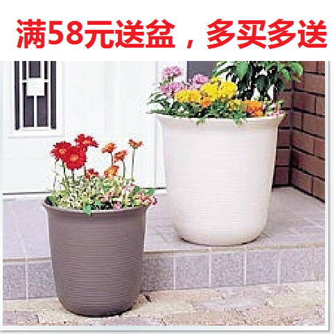【绿阳园艺】爱丽思树脂花盆 爱丽丝塑料长钵 高花盆兰花盆深花盆