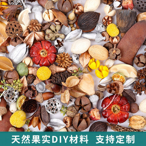 天然果实种子混合干花DIY材料