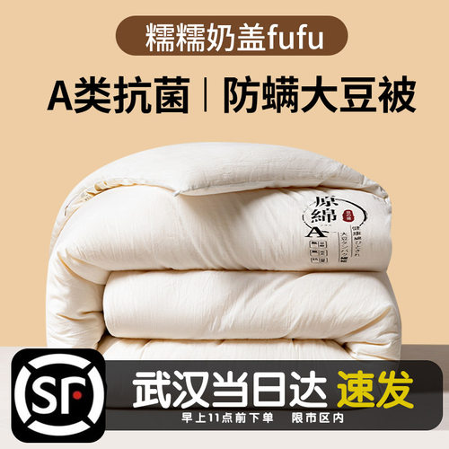 吾印良品被子被芯A类大豆纤维被秋冬加厚棉被冬被春秋被子