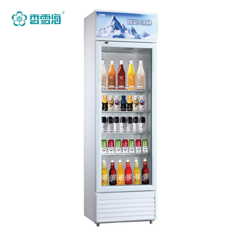 SNOWSEA/香雪海LC-263A商用展示柜立式冷藏水果饮料保鲜柜啤酒柜