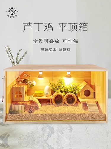 芦丁鸡饲养箱恒温全自动控温