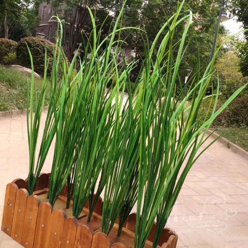 小秧苗麦苗塑料假青草水草韭菜叶稻草苗舞蹈道具假稻谷禾苗