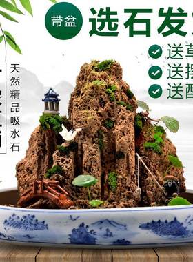 吸水石假山石盆景摆件造景上水石假山盆景原石奇石观赏石微景观