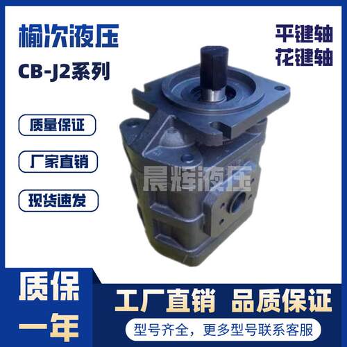 新款CB-J2063/2080/2100/2040/2050-F1-1L/2R榆次液压高压齿包邮