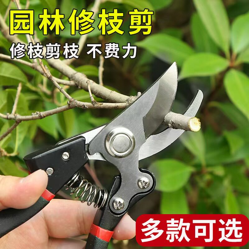 剪枝果树修枝剪刀园艺园林修花枝剪家用强力神器剪枝剪花卉剪刀花