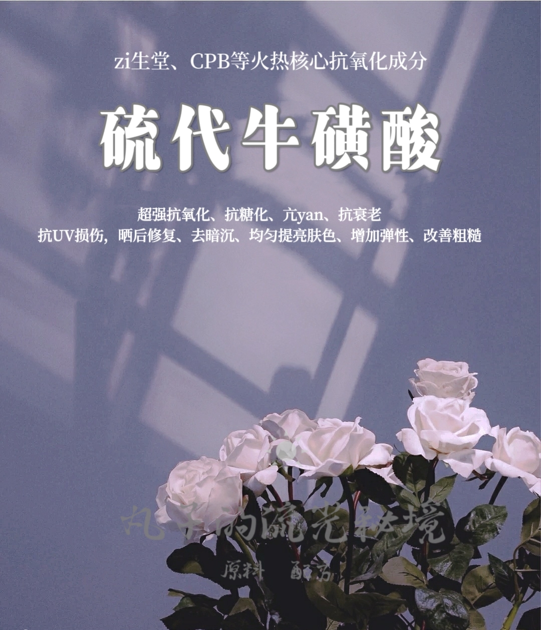 硫代牛磺酸 强效抗氧化抗糖去黄提亮修复亢衰 zi生堂同款护肤原料